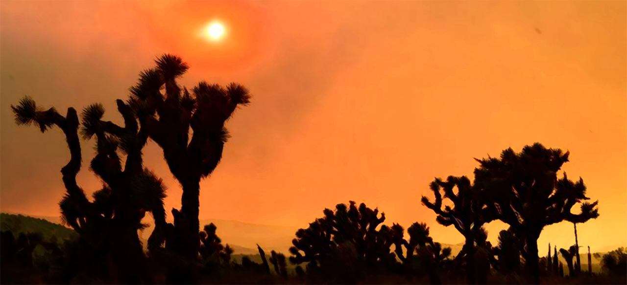 to joshua tree 2
