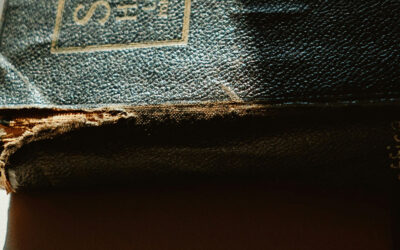 The Handbook