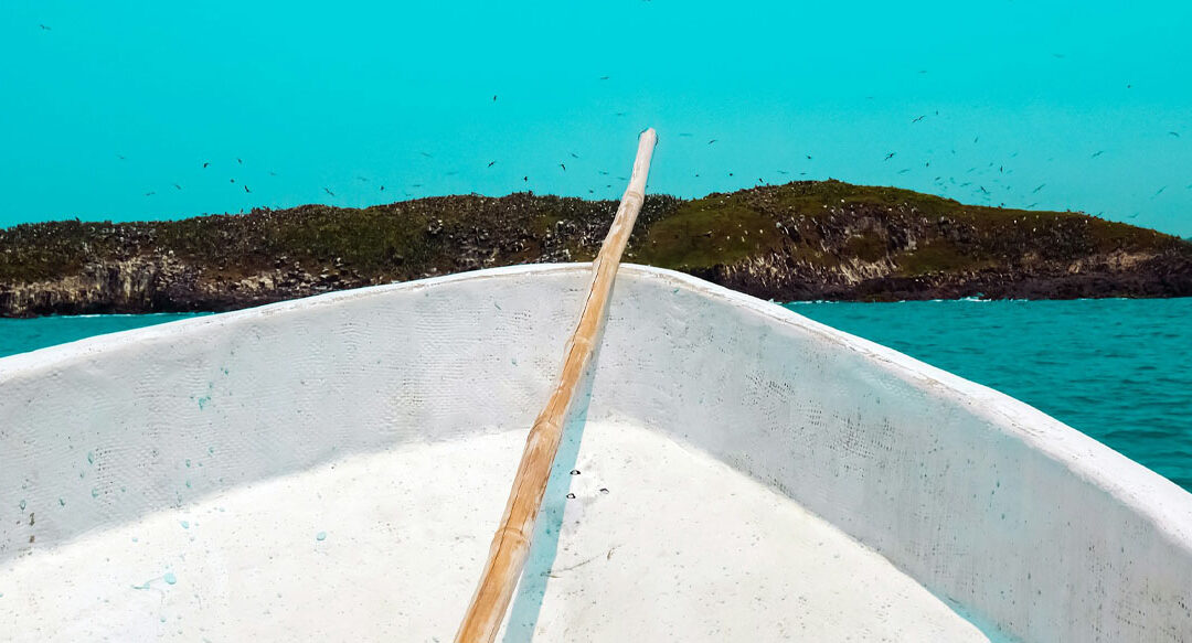 Linked in Death