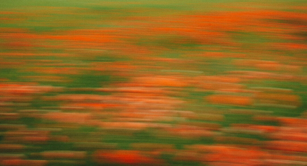 A Reaping