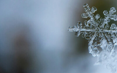 Winter Doldrums